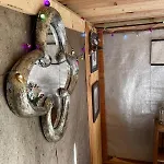 Pear Tree Hut At Carr House Farm Camping Scarborough