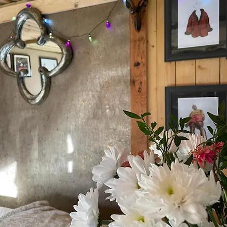 Kemping Pear Tree Hut At Carr House Farm