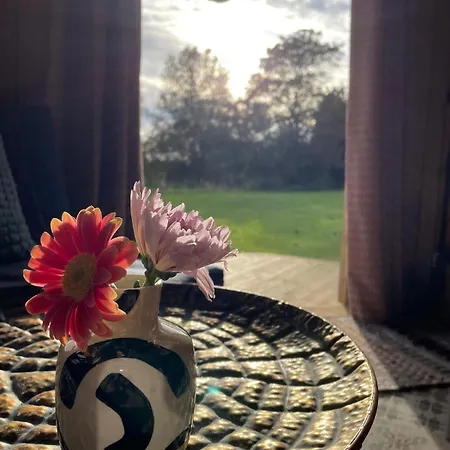 Pear Tree Hut At Carr House Farm Kemping