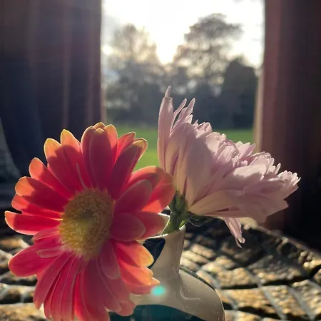 Kemping Pear Tree Hut At Carr House Farm