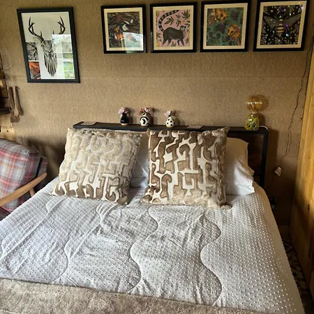 Pear Tree Hut At Carr House Farm Camping *