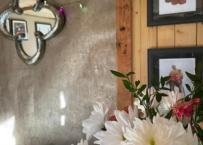 Campsite Pear Tree Hut At Carr House Farm