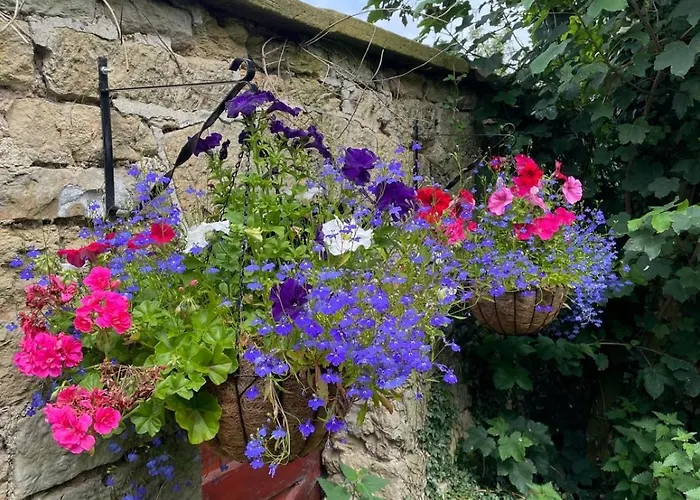 Campsite Pear Tree Hut At Carr House Farm *