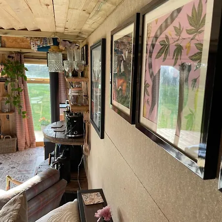 Pear Tree Hut At Carr House Farm *